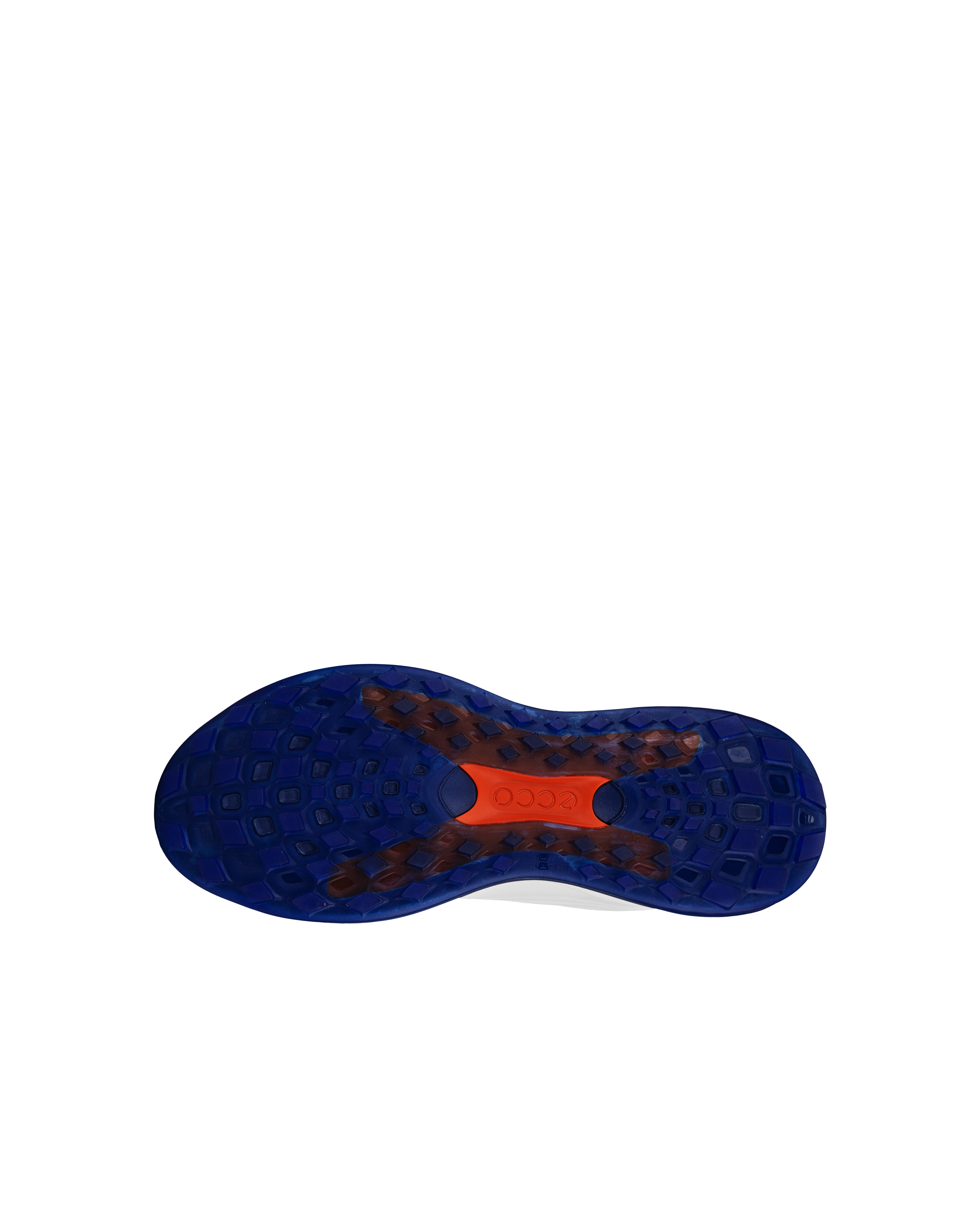 Lt1