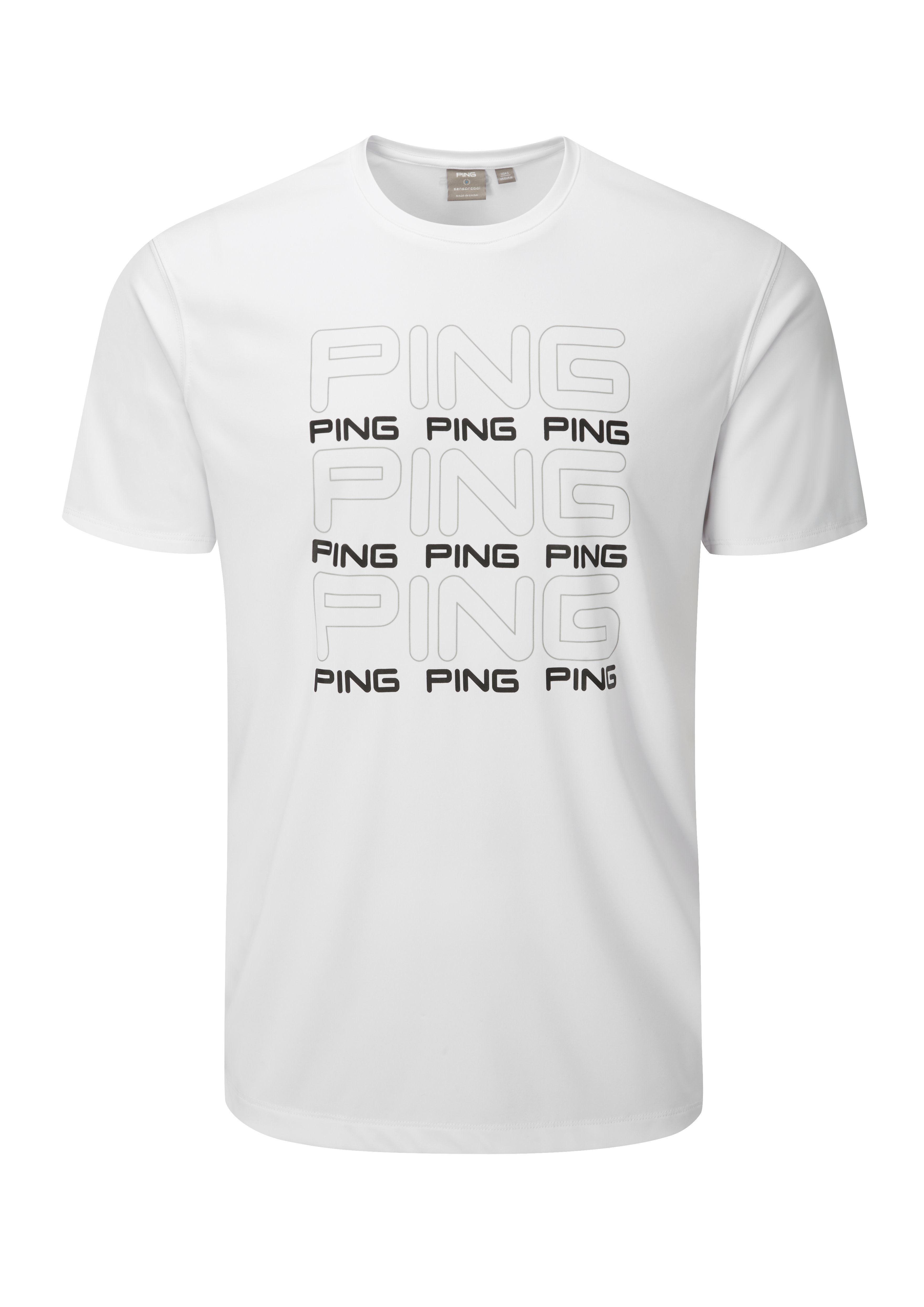 PING Logo