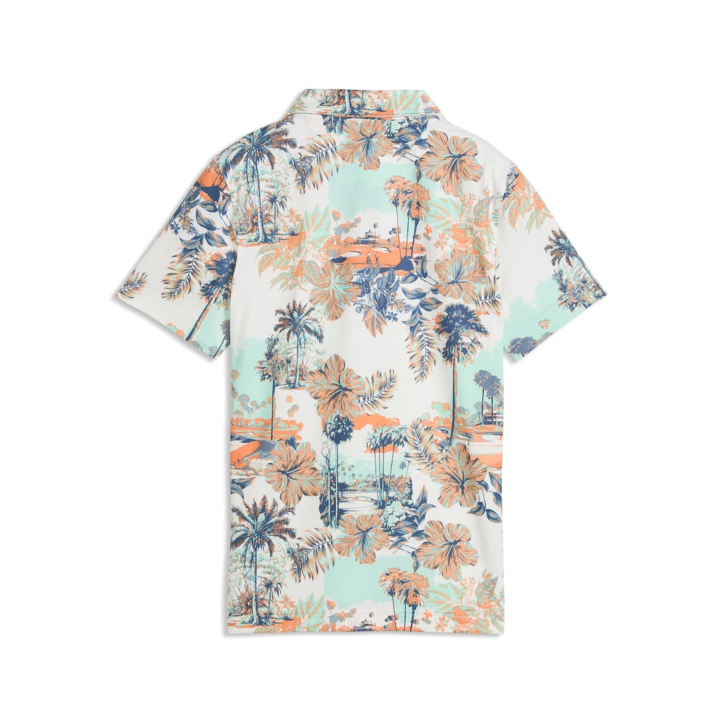 Cloudspun Palm