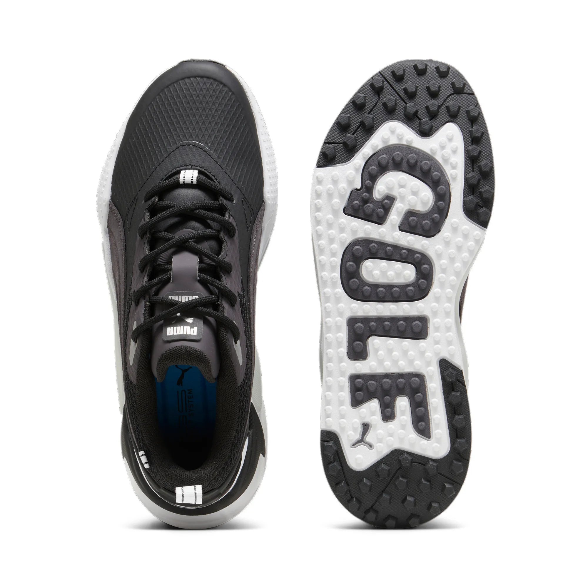 GS-X Efekt