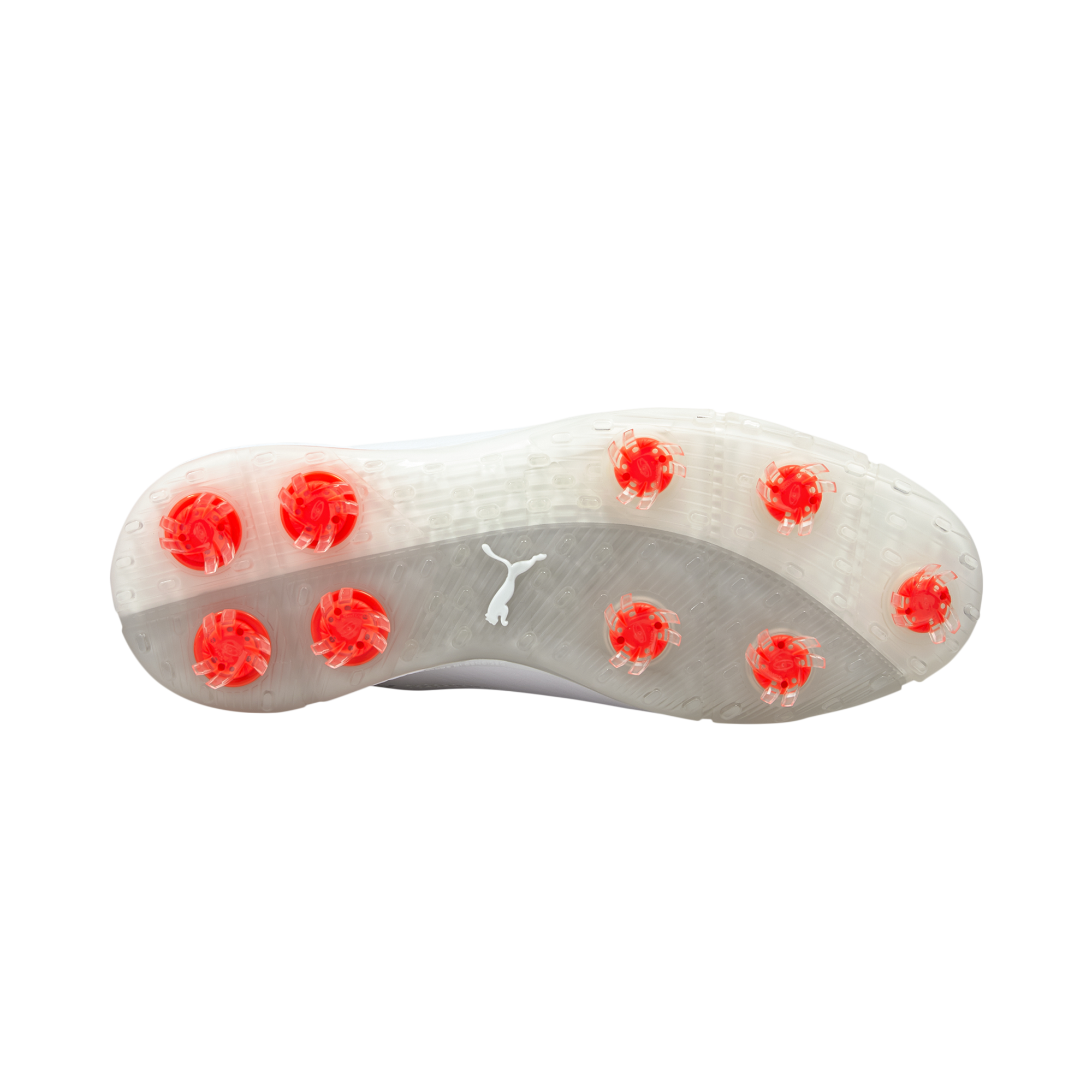 PROADAPT ∆ Spiked