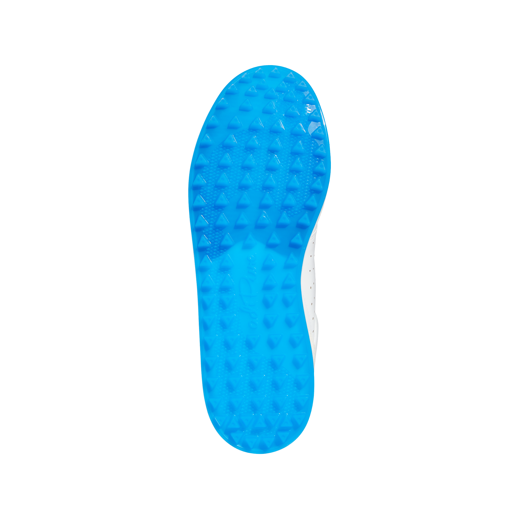 FLOPSHOT
