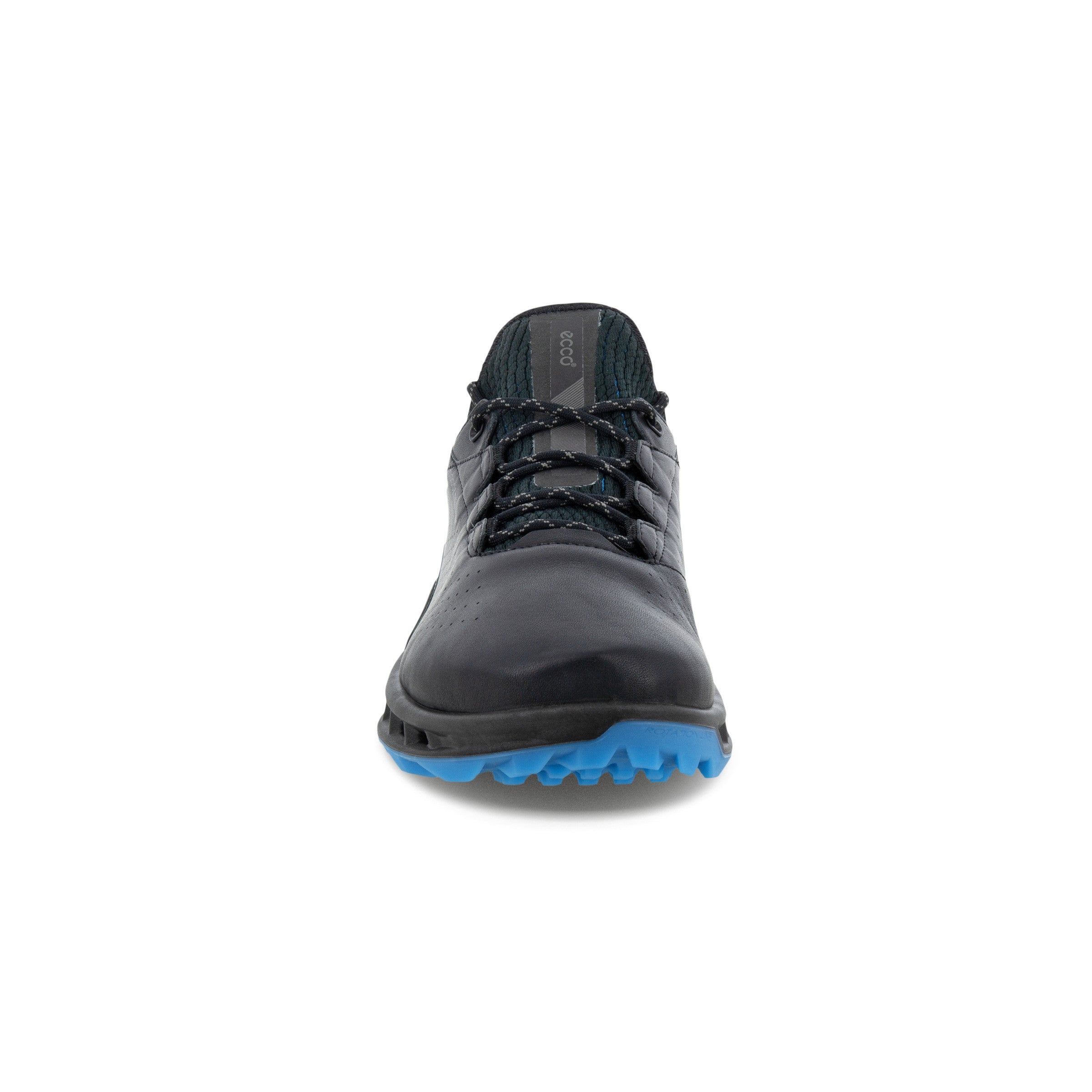 BIOM C4
