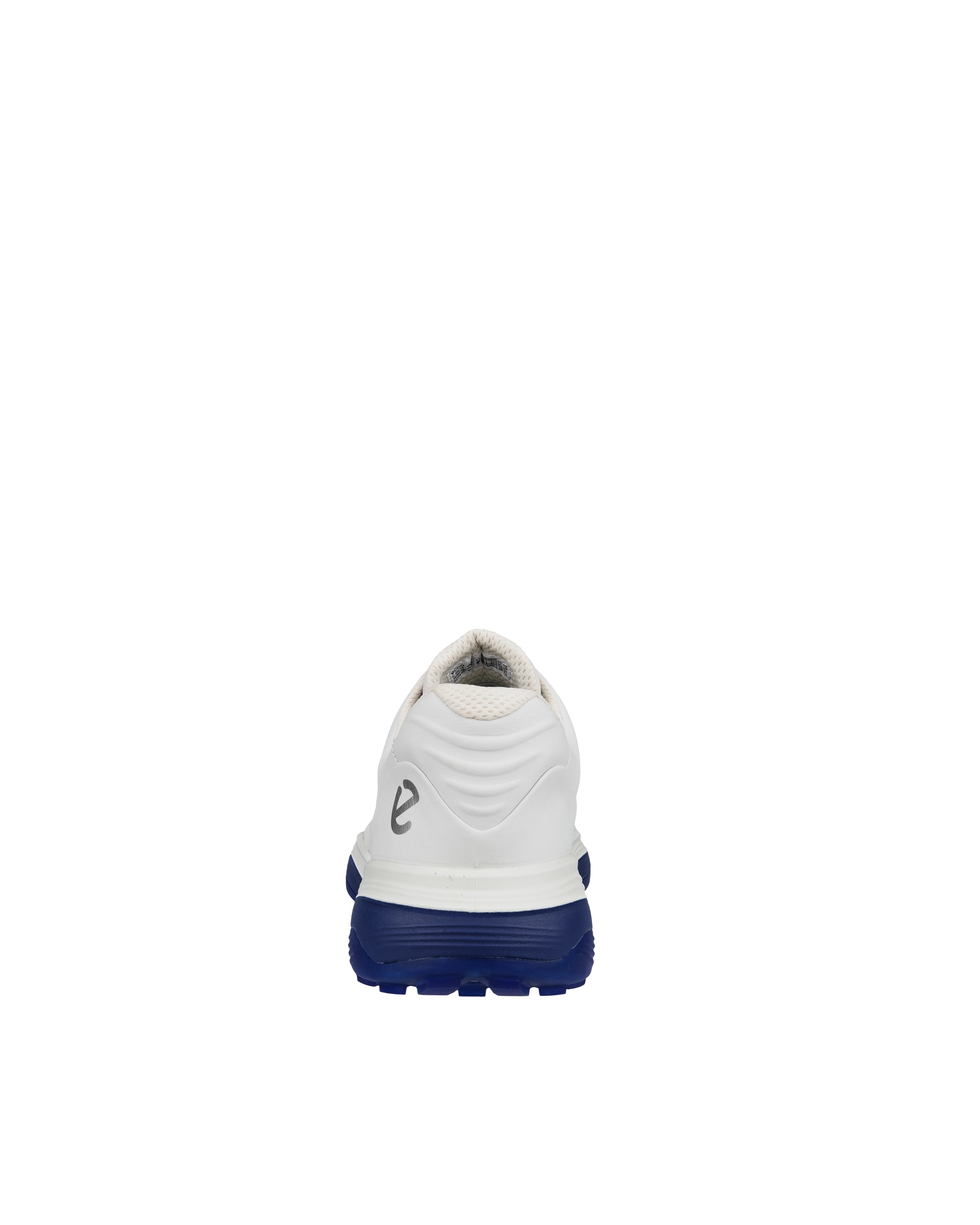 Lt1