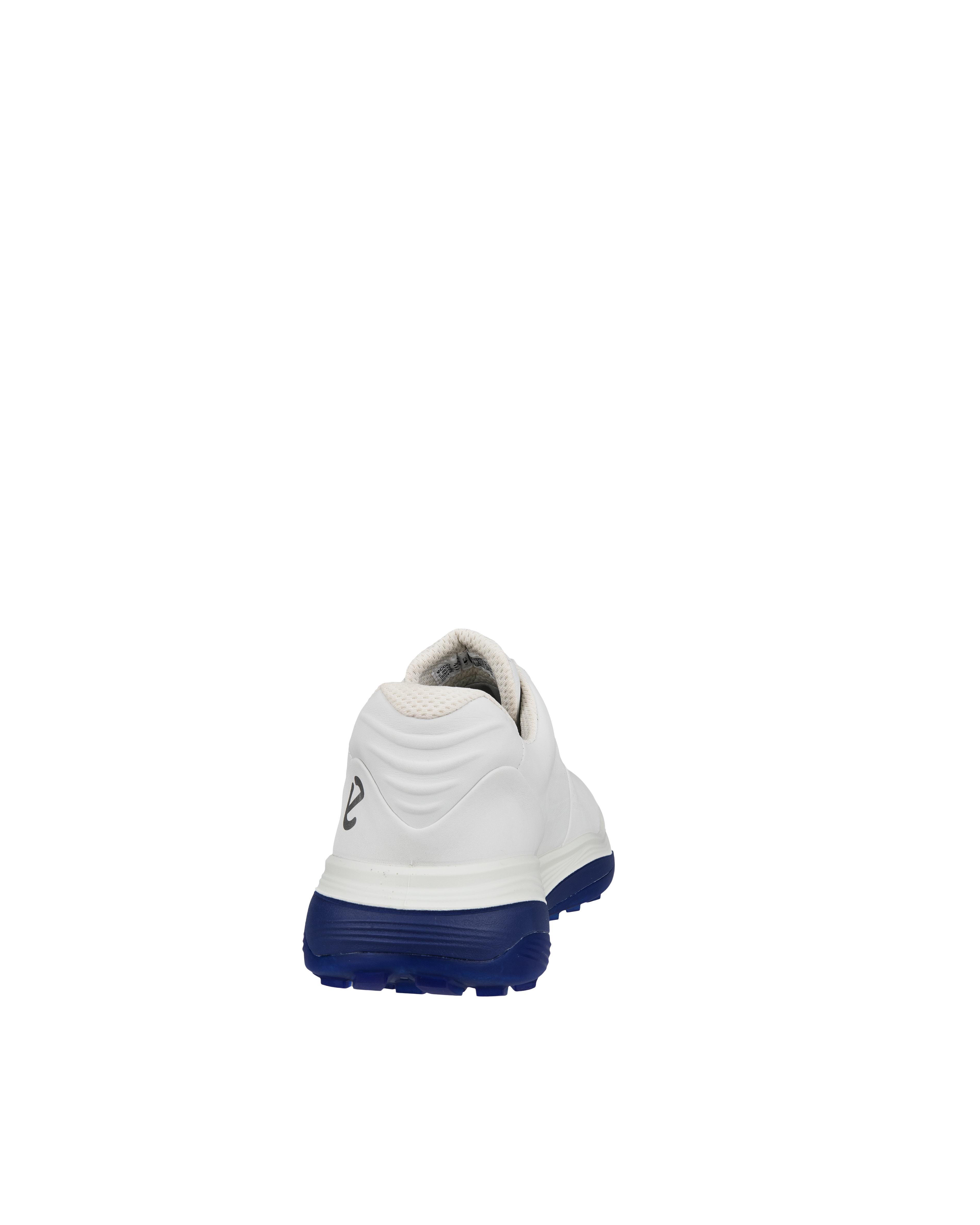 Lt1
