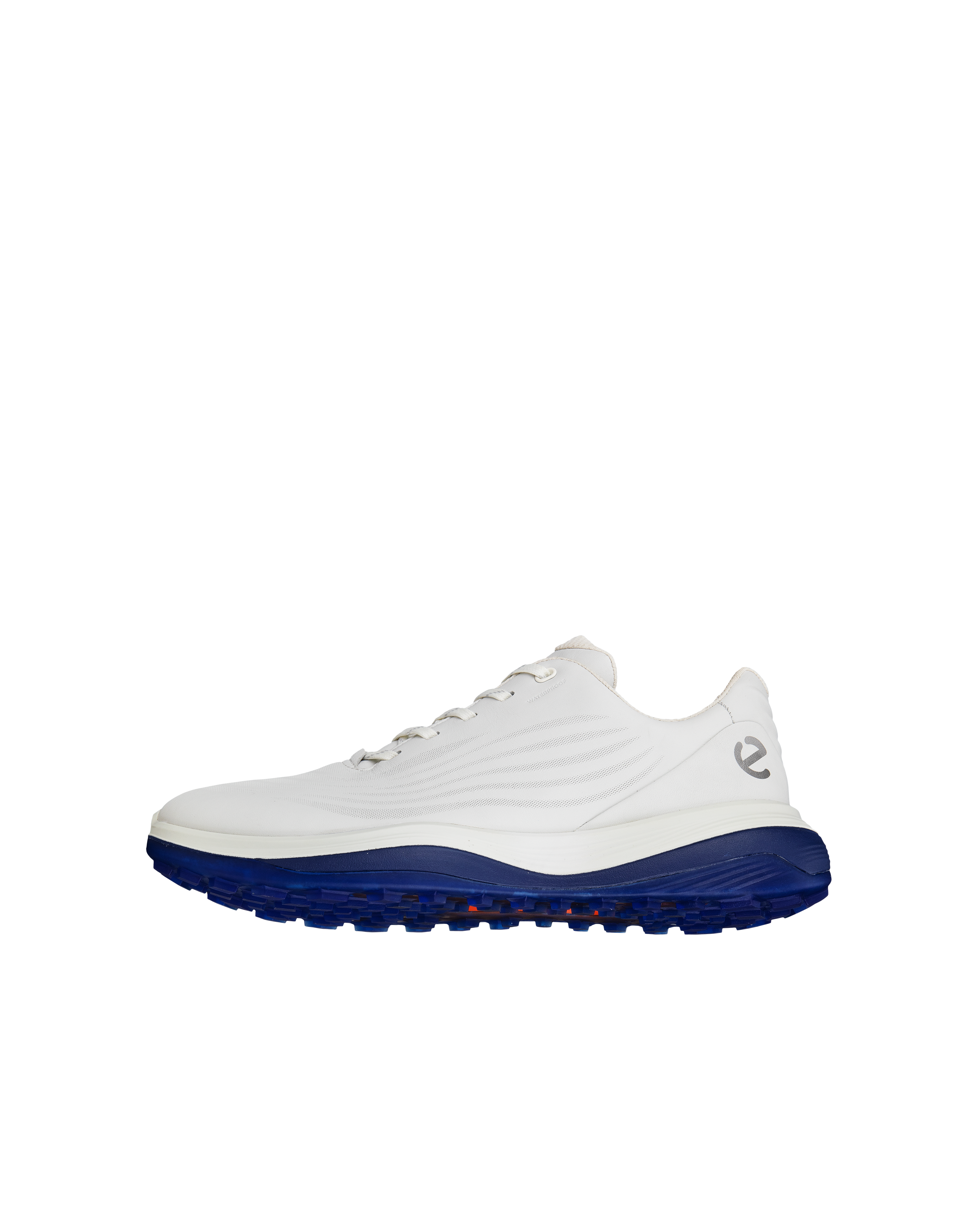 Lt1
