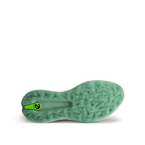 BIOM H5 Hybrid