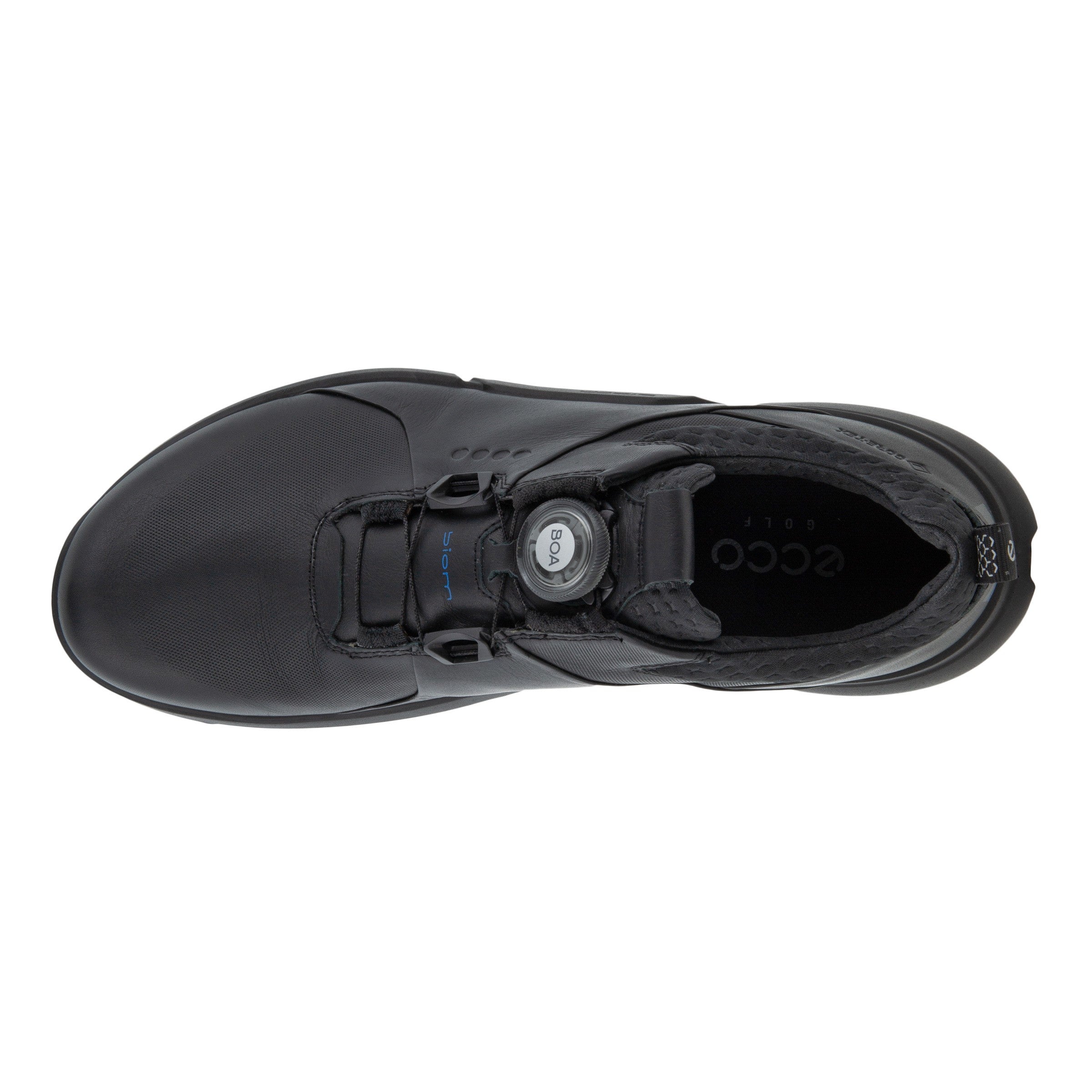 Biom H4 BOA