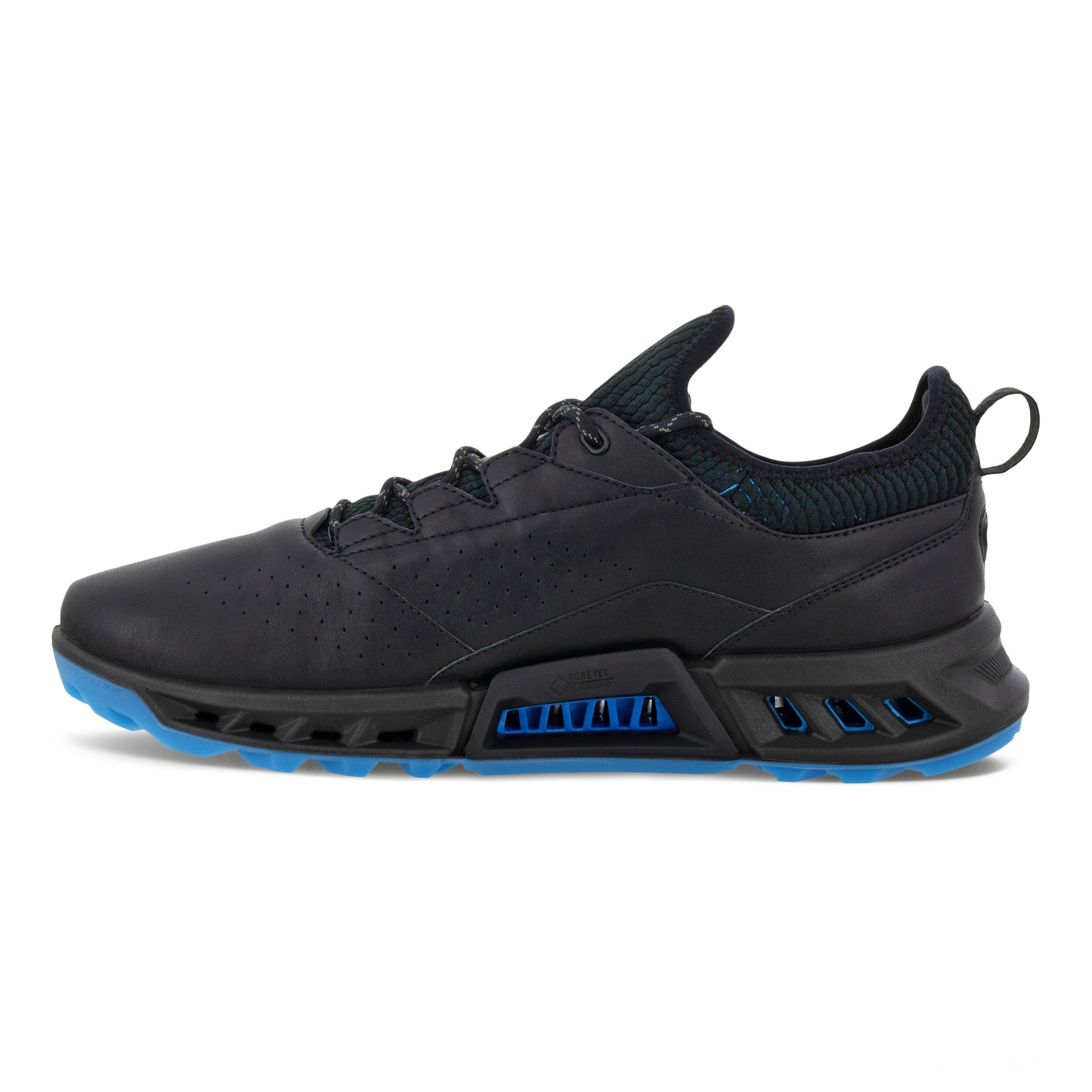 BIOM C4